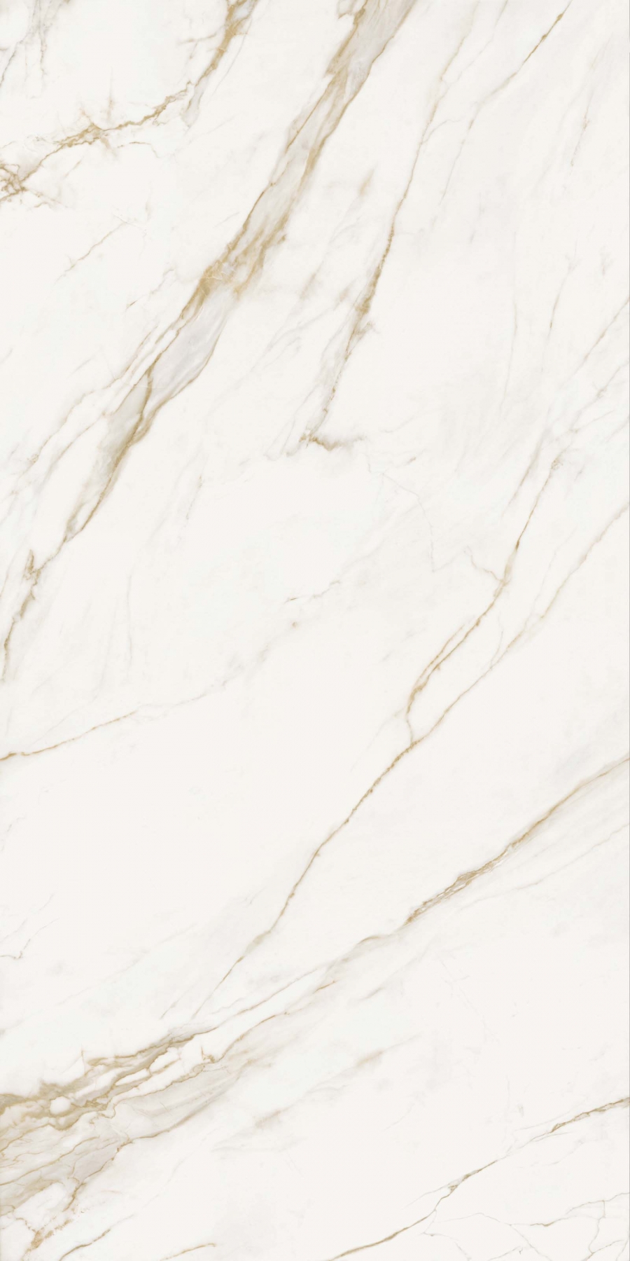 Calacatta Gold