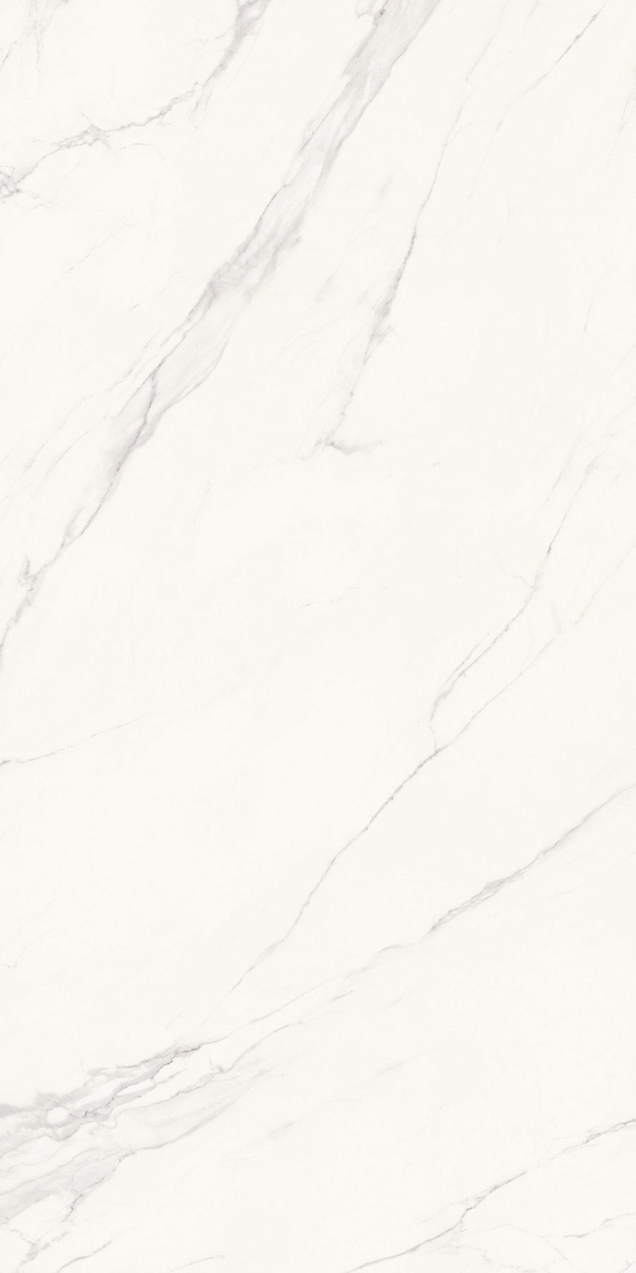 Calacatta Grey