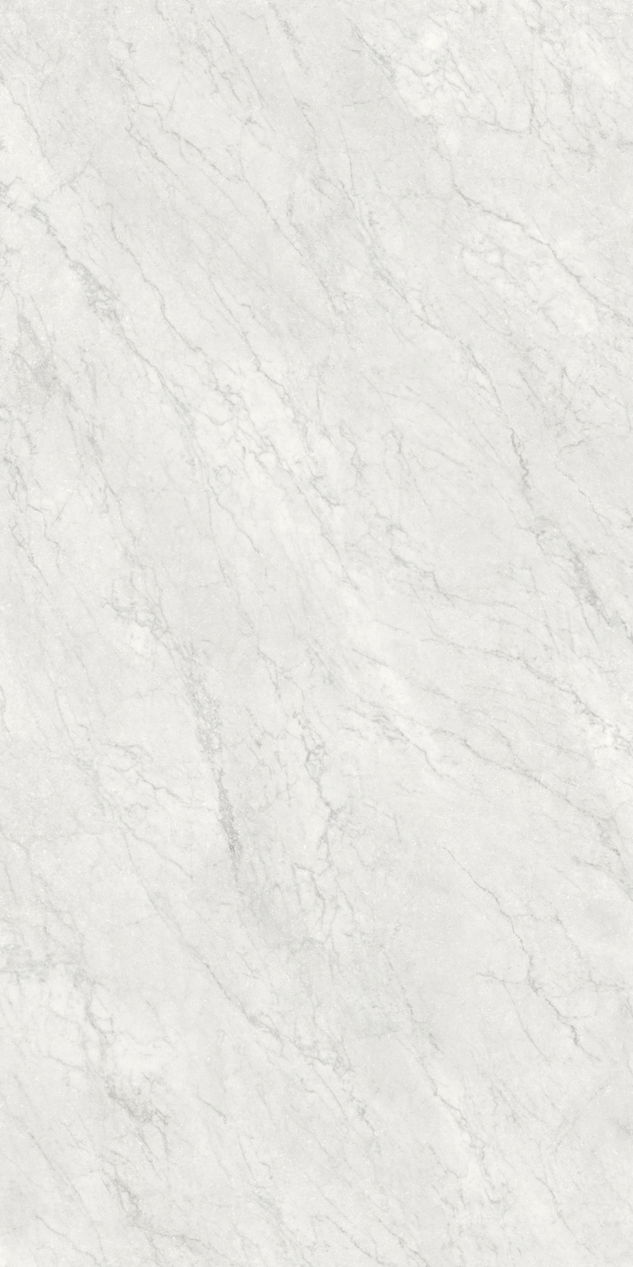 Carrara gioia
