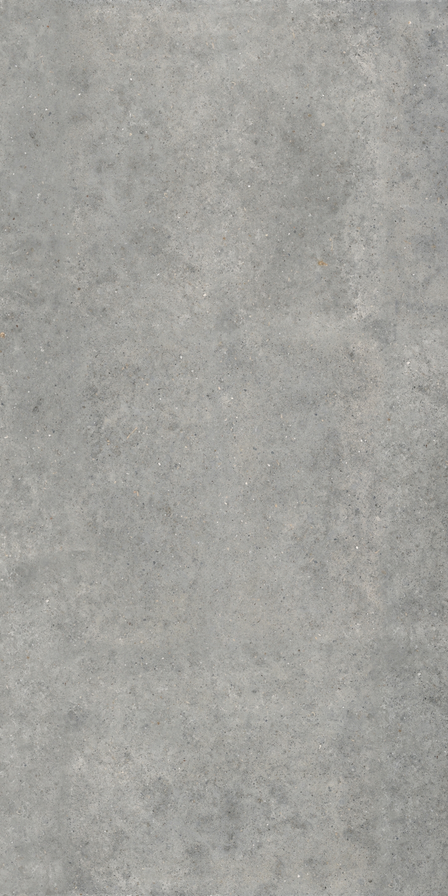 Pirenei Grey