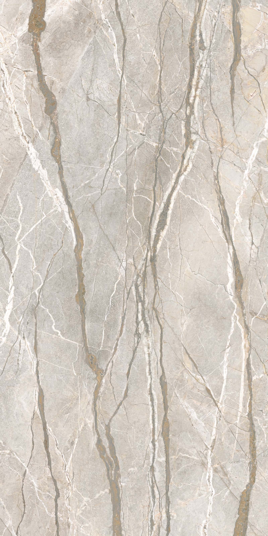 Silver Roots