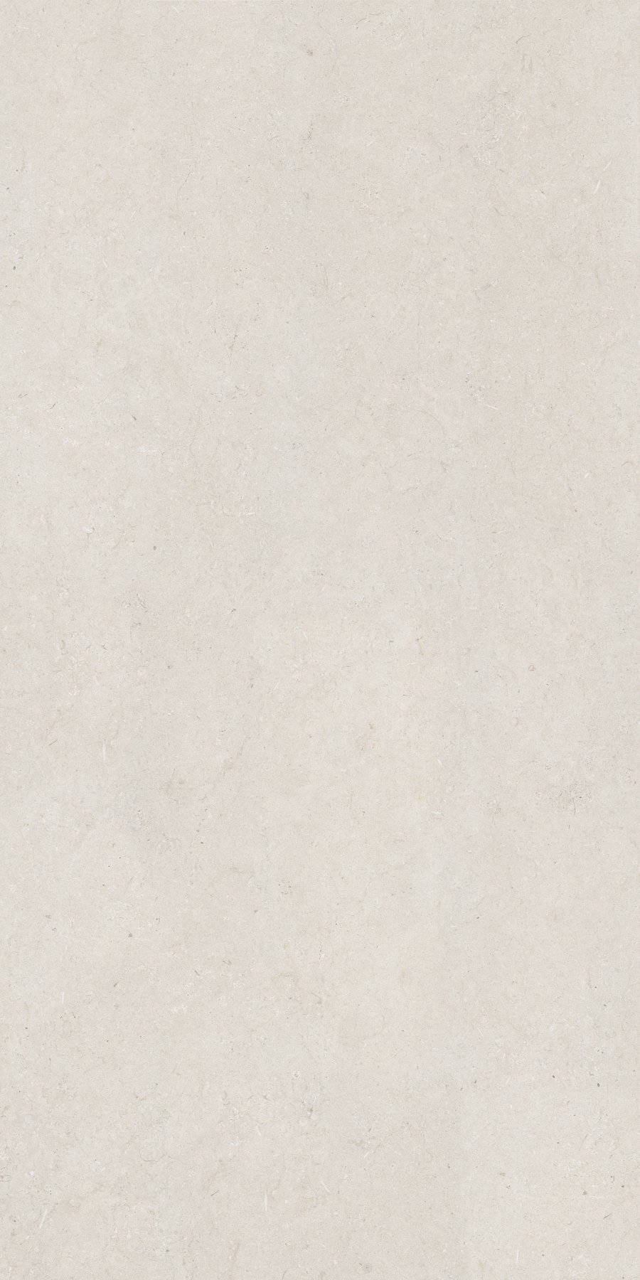 Trani Ivory