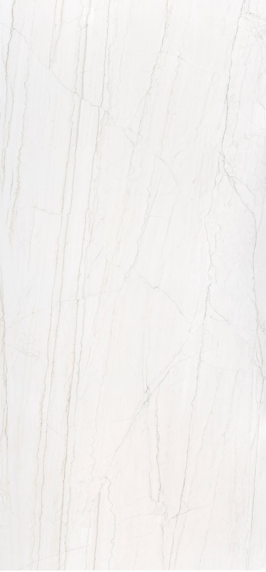Macaubus porcelain slab